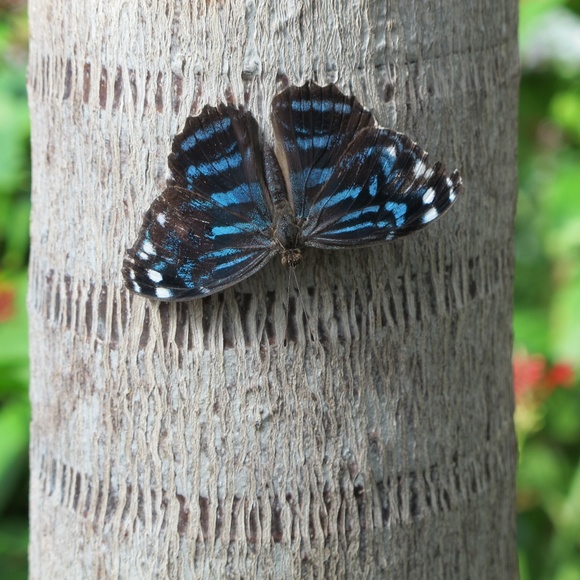 Meet your Posher, Beth - Picture 1 of 2